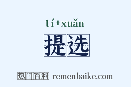 提选是什么意思的图片